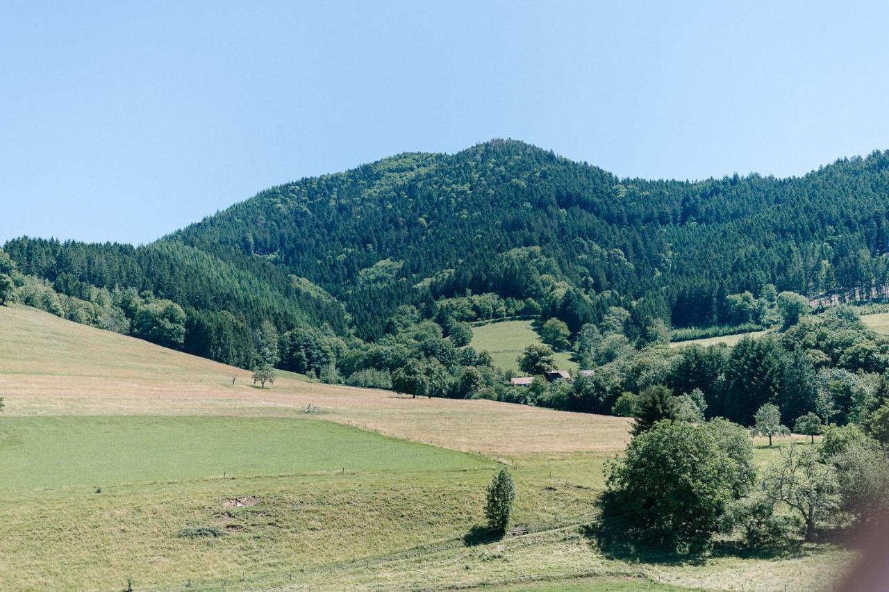 Rustikale 3 Zi.-Fewo Naehe Freiburg 70Qm Simonswald Exteriör bild